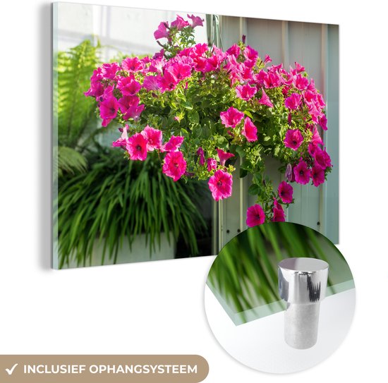 MuchoWow® Glasschilderij 180x120 cm - Schilderij acrylglas - Hangende bloembak met petunia's - Foto op glas - Schilderijen