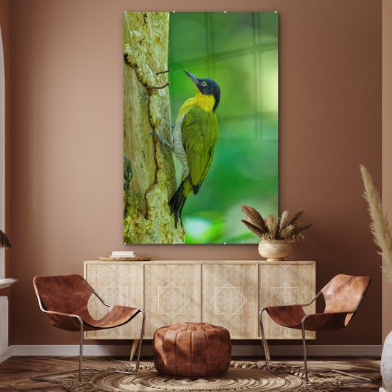 MuchoWow® Peinture sur verre 100x150 cm - Peinture sur verre acrylique - Un beau pic terrestre à fourrure jaune grimpe verticalement sur un arbre - Photo sur verre - Peintures