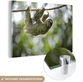MuchoWow® Glasschilderij 90x60 cm - Schilderij acrylglas - Luiaard klimt in een boom - Foto op glas - Schilderijen