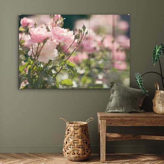 MuchoWow® Peinture sur Verre - Roses - Fleurs - Rose - 90x60 cm - Peintures sur Verre Peintures - Photo sur Glas