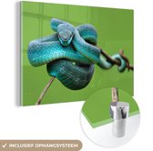 MuchoWow® Glasschilderij 30x20 cm - Schilderij acrylglas - Blauwe slang houdt prooi in het oog - Foto op glas - Schilderijen
