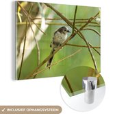 MuchoWow® Peinture sur verre 150x100 cm - Peinture sur verre acrylique - Vogel parmi les branches - Photo sur verre - Peintures