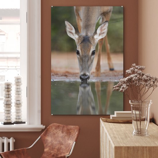 MuchoWow® Peinture sur verre 80x120 cm - Peinture sur verre acrylique - Cerf - Boisson - Water - Réflexion - Photo sur verre - Peintures
