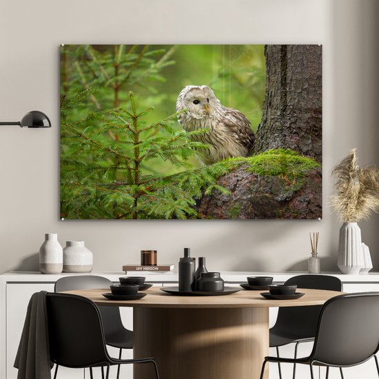 Peinture sur Verre - Hibou Assis sur un Arbre - 120x80 cm - Peintures sur Verre Peintures - Photo sur Glas