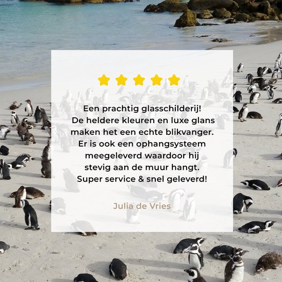 Close-up van een glazen schilderij met pinguïns op het strand, met een beoordeling en de tekst 'Julia de Vries'.