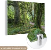 MuchoWow® Glasschilderij 150x100 cm - Schilderij acrylglas - Bemoste boomstammen in een regenwoud in Washington - Foto op glas - Schilderijen