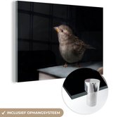 MuchoWow® Glasschilderij 120x80 cm - Schilderij acrylglas - Vogel - Boeken - Portret - Foto op glas - Schilderijen