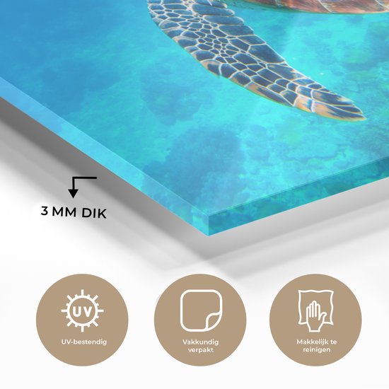 MuchoWow® Peinture sur verre 60x40 cm - Peinture sur verre acrylique - Tortue - Mer - Blauw - Photo sur verre - Peintures