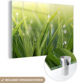 MuchoWow® Glasschilderij 120x80 cm - Schilderij acrylglas - Vroege dauw in het gras - Foto op glas - Schilderijen