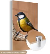 MuchoWow - Glasschilderij - Foto op glas - Koolmees - Vogel - Takken - 40x60 cm - Acrylglas - Glasschilderij natuur - Schilderij glas - Glasschilderij vogels - Woonkamer