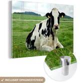 Vache frisonne au repos sur un pâturage vert Plexiglas 120x80 cm - Tirage photo sur Glas (décoration murale en plexiglas)