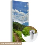 MuchoWow® Glasschilderij 40x80 cm - Schilderij acrylglas - Bos - Pad - Berg - Foto op glas - Schilderijen