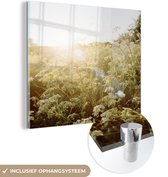 MuchoWow® Glasschilderij 50x50 cm - Schilderij acrylglas - Bloemen - Wit - Lente - Foto op glas - Schilderijen