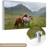 MuchoWow® Glasschilderij 40x20 cm - Schilderij acrylglas - Paarden - Gras - Bergen - Foto op glas - Schilderijen