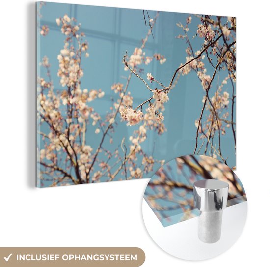 Blossom Glas 60x40 cm - Tirage photo sur Glas (décoration murale en plexiglas)
