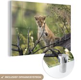 MuchoWow® Peinture sur Verre - Lion - Cub - Branches - 150x100 cm - Peintures sur Verre Peintures - Photo sur Glas