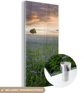 MuchoWow® Glasschilderij 20x40 cm - Schilderij acrylglas - Zonsondergang - Bloemen - Kleuren - Foto op glas - Schilderijen