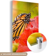 MuchoWow® Glasschilderij 40x60 cm - Schilderij acrylglas - Bloemen - Vlinders - Monarch - Foto op glas - Schilderijen
