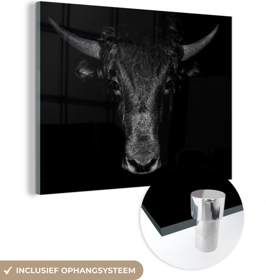 MuchoWow - Glasschilderij - Foto op glas - Acrylglas - Dieren - Stier - Zwart - Wit - Schilderijen woonkamer - 80x60 cm - Schilderij glas - Wanddecoratie dieren - Slaapkamer