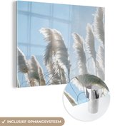 MuchoWow® Glasschilderij 120x90 cm - Schilderij acrylglas - Lucht - Gras - Pampasgras - Foto op glas - Schilderijen
