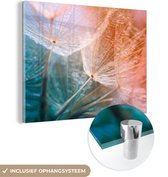 MuchoWow® Peinture sur Verre - Bloem - Pissenlit - Plante - 80x60 cm - Peintures sur Verre Acrylique - Photo sur Glas