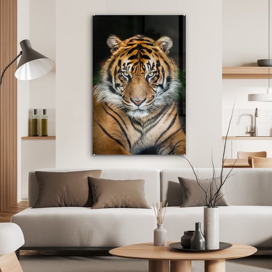 Tigre de Sumatra fond noir Glas 60x90 cm - Tirage photo sur Glas (Décoration murale en plexiglas)