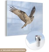 MuchoWow® Glasschilderij - Visarend - Lucht - Blauw - 80x60 cm - Acrylglas Schilderijen - Foto op Glas