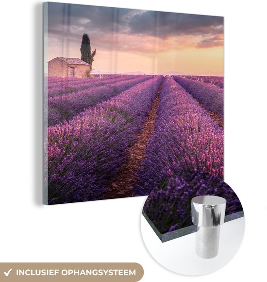 Gewone lavendel - Plantengids - Poppelaars Tuincentrum Gewone lavendel - Plantengids - Poppelaars Tuincentrum