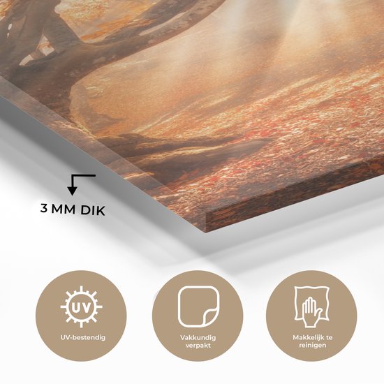 MuchoWow® Peinture sur verre - Arbre - Nature - Automne - 40x60 cm - Peintures sur verre acrylique - Photo sur Glas