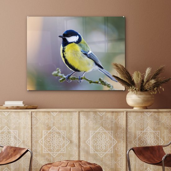 Peinture sur verre - Mésange charbonnière - Vogel - Branche - Mousse - Verre acrylique - Photo sur verre - 80x60 cm - Décoration murale verre - Peinture sur verre oiseaux - Peinture sur verre animaux - Décoration maison - Chambre