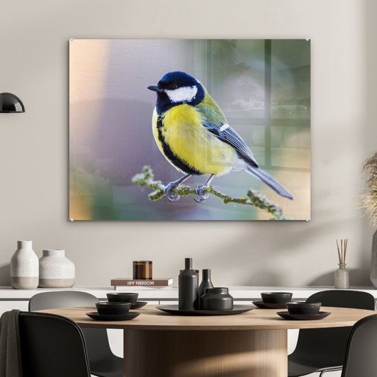 Peinture sur verre - Mésange charbonnière - Vogel - Branche - Mousse - Verre acrylique - Photo sur verre - 80x60 cm - Décoration murale verre - Peinture sur verre oiseaux - Peinture sur verre animaux - Décoration maison - Chambre