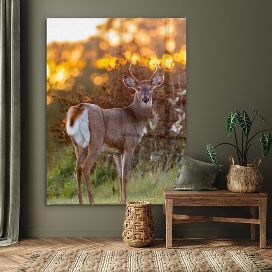 Peinture sur verre - Verre acrylique - Cerf - Bruyère - Nature - Coucher de soleil - Peinture sur verre - Photo sur verre - Décoration murale - 120x160 cm - Peinture sur verre animaux - Décoration murale