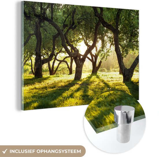 MuchoWow® Glasschilderij 60x40 cm - Schilderij acrylglas - Bomen - Natuur - Zon - Foto op glas - Schilderijen