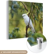 MuchoWow® Glasschilderij - Witte kaketoe tussen de groene bladeren - 90x90 cm - Acrylglas Schilderijen - Foto op Glas