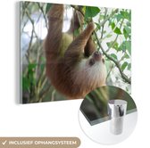 MuchoWow® Glasschilderij 30x20 cm - Schilderij acrylglas - Baby luiaard - Foto op glas - Schilderijen