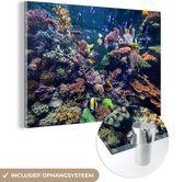 MuchoWow® Glasschilderij 120x80 cm - Schilderij acrylglas - Kleurrijke vissen zwemmen bij allemaal koraal - Foto op glas - Schilderijen