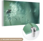 MuchoWow® Glasschilderij 120x60 cm - Schilderij acrylglas - Zaden - Paardenbloem - Abstract - Foto op glas - Schilderijen