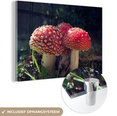 Peinture sur verre MuchoWow® 60x40 cm - Peinture acrylique sur verre - Amanites tue-mouches triples - Photo sur verre - Peintures
