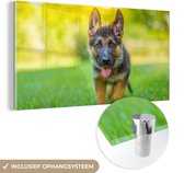 MuchoWow® Glasschilderij 120x60 cm - Schilderij acrylglas - Duitse Herder puppy - Foto op glas - Schilderijen