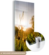MuchoWow® Glasschilderij 60x120 cm - Schilderij acrylglas - Paardenbloemen - Gras - Zonsondergang - Foto op glas - Schilderijen