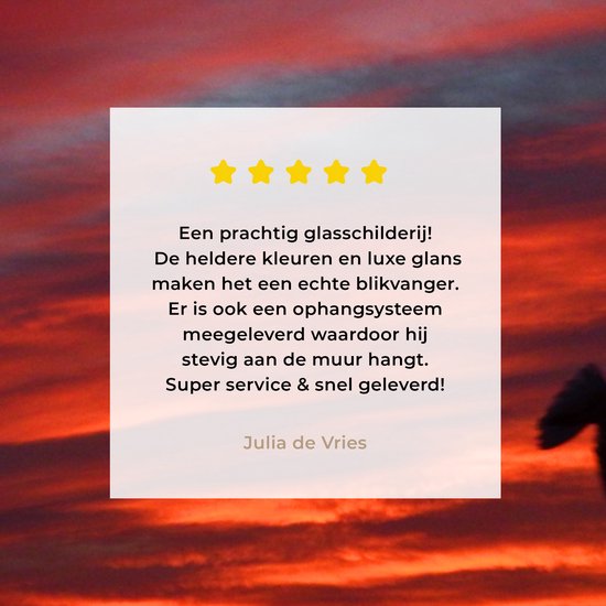 ® Glasschilderij 40x30 cm - Schilderij acrylglas - Silhouet van een stormmeeuw - Foto op glas - Muurdecoratie woonkamer - Wanddecoratie slaapkamer - Schilderijen