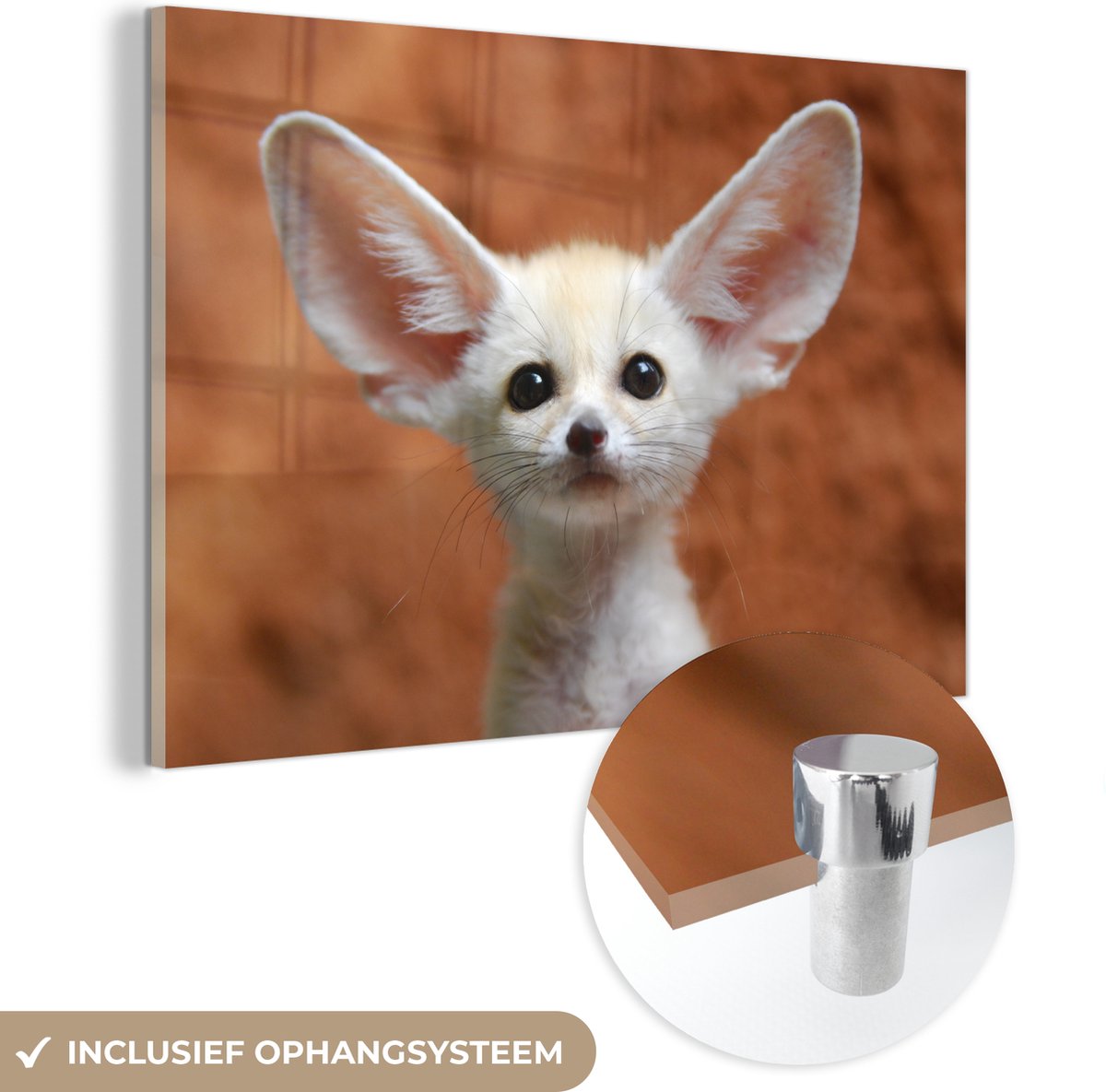 ® Glasschilderij 30x20 cm - Schilderij acrylglas - Vos - Baby - Dieren - Foto op glas - Muurdecoratie woonkamer - Wanddecoratie slaapkamer - Schilderijen