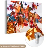 MuchoWow® Glasschilderij 30x20 cm - Schilderij acrylglas - Esdoorn - Bladeren - Landelijk - Herfst - Foto op glas - Schilderijen