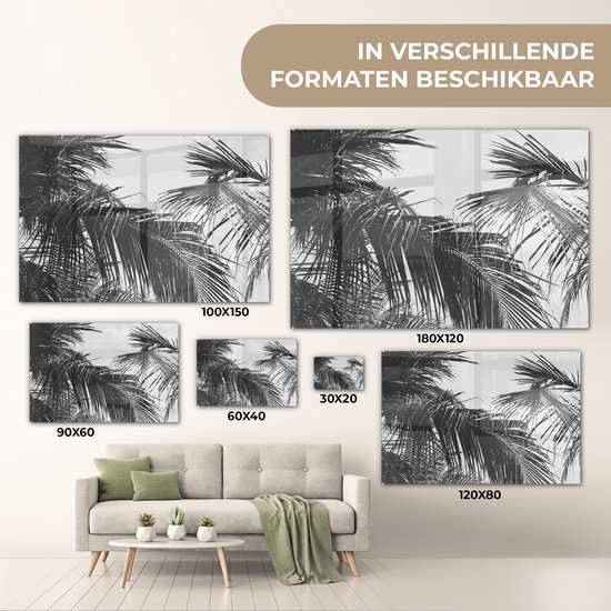 MuchoWow® Peinture sur verre 60x40 cm - Peinture sur verre acrylique - Feuilles de palmier - Nature - Vintage - Palmier - Photo sur verre - Peintures