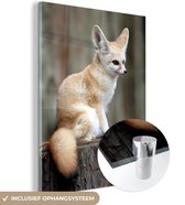 Renard Fennec mignon sur un tronc d'arbre Plexiglas 30x40 cm - petit - Tirage photo sur Glas (décoration murale plexiglas)