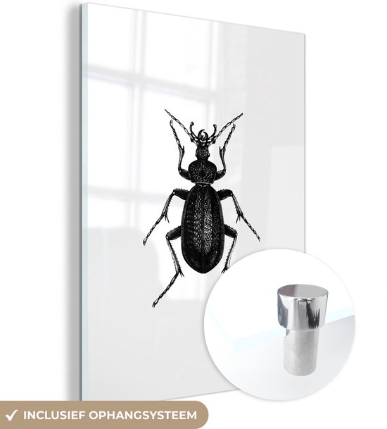 MuchoWow® Glasschilderij 30x40 cm - Schilderij acrylglas - Zwart wit - Kever - Vintage - Insecten - Foto op glas - Schilderijen