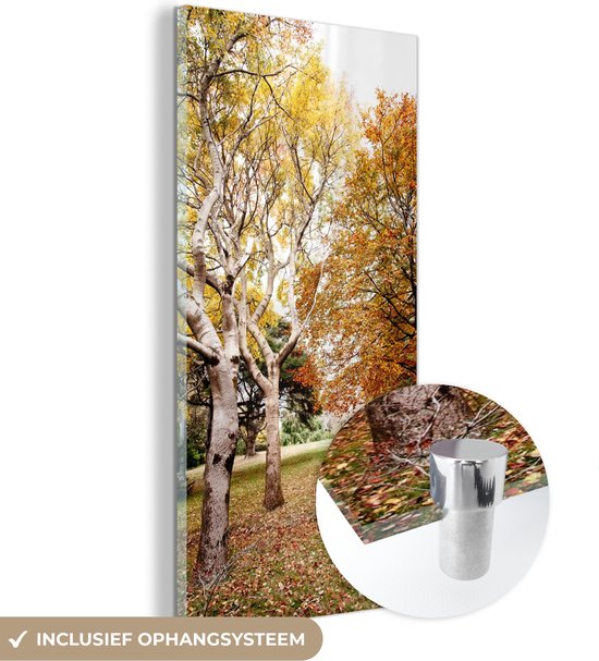 MuchoWow® Glasschilderij 80x160 cm - Schilderij acrylglas - Herfst - Bomen - Bladeren - natuur - Foto op glas - Schilderijen