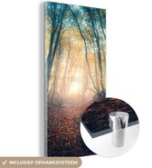 MuchoWow® Glasschilderij 80x160 cm - Schilderij acrylglas - Bos - Mist - Zon - Herfst - Foto op glas - Schilderijen