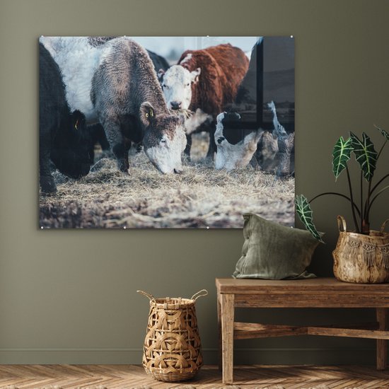 MuchoWow® Peinture sur Verre - Animaux - Vache - Ferme - 120x90 cm - Peintures sur Verre Acrylique - Photo sur Glas