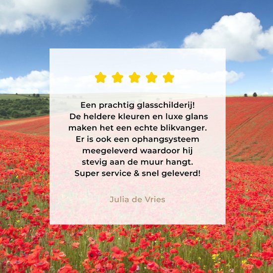 MuchoWow® Peinture sur verre 60x40 cm - Peinture sur verre acrylique - Coquelicots - Fleurs - Ciel - Photo sur verre - Peintures